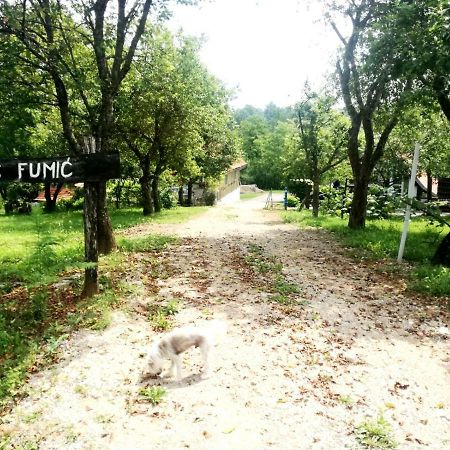 Apartman Nino Tounj Esterno foto