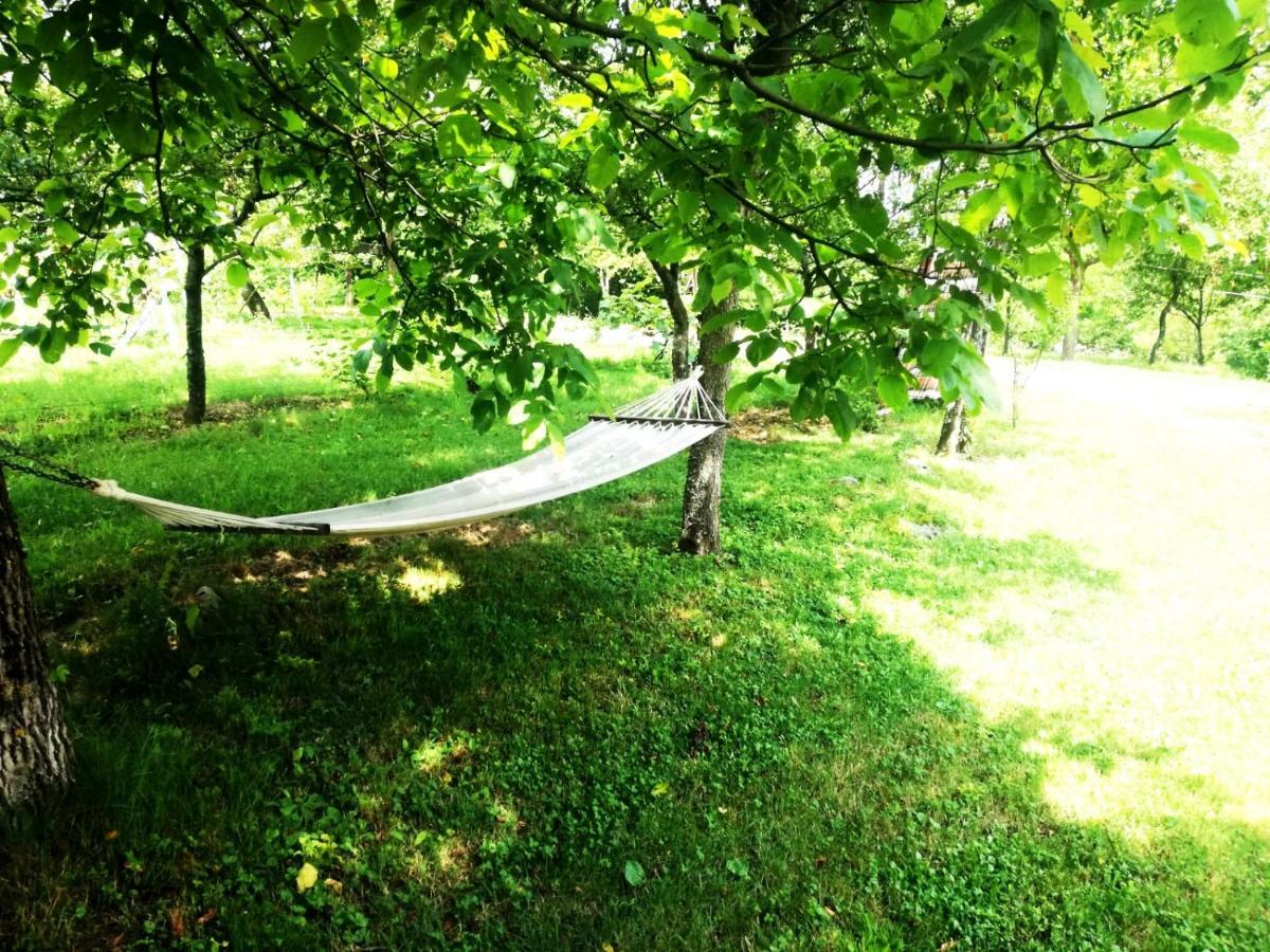 Apartman Nino Tounj Esterno foto