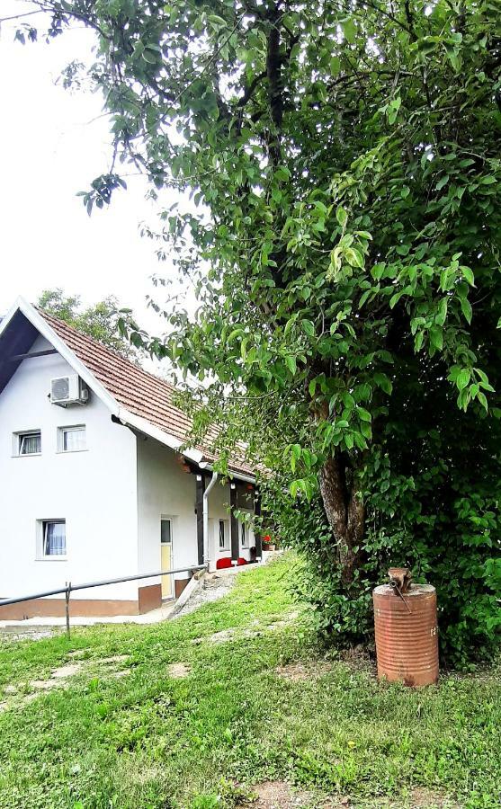 Apartman Nino Tounj Esterno foto