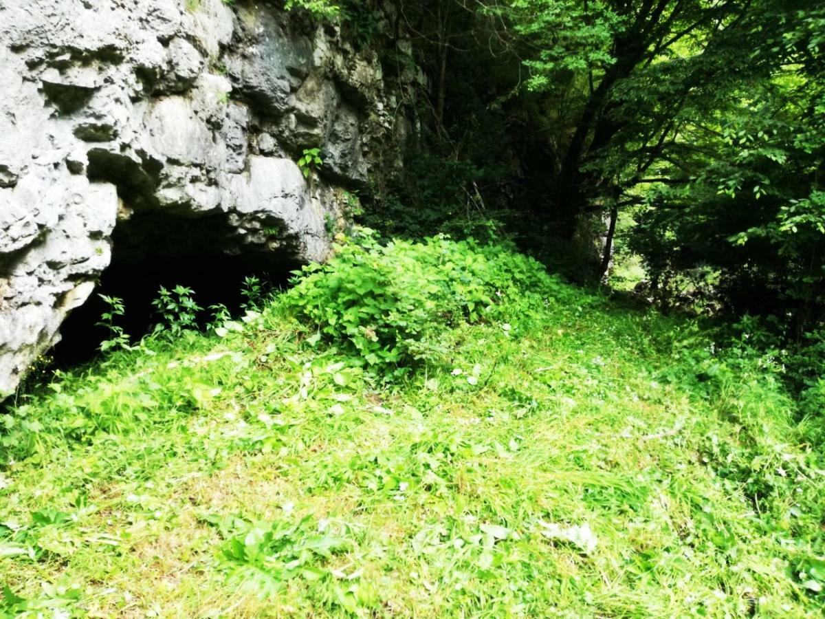 Apartman Nino Tounj Esterno foto