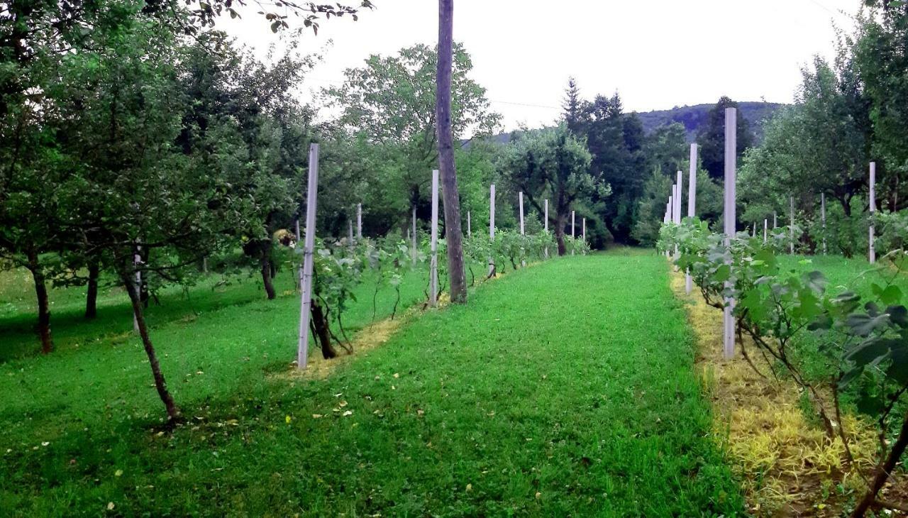 Apartman Nino Tounj Esterno foto