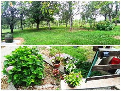 Apartman Nino Tounj Esterno foto