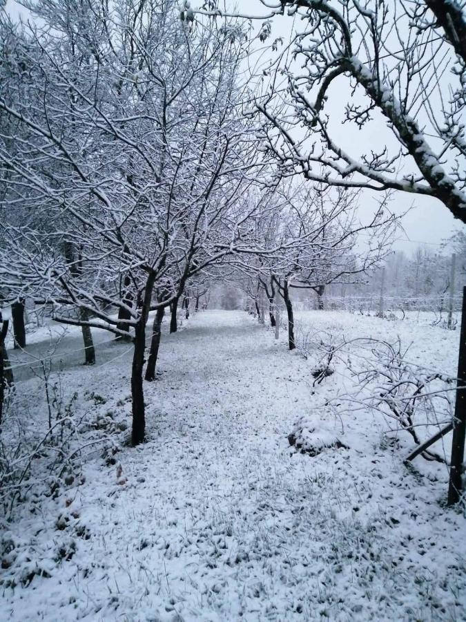 Apartman Nino Tounj Esterno foto